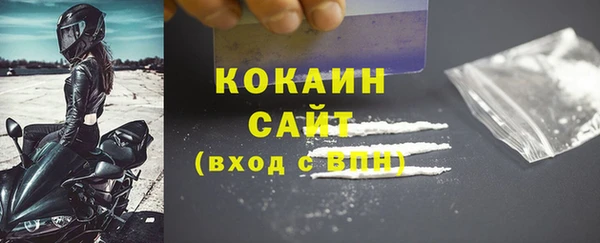 стаф Аркадак