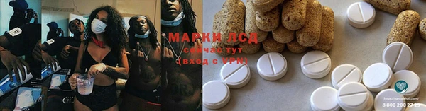 стаф Аркадак