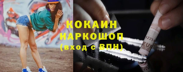 стаф Аркадак