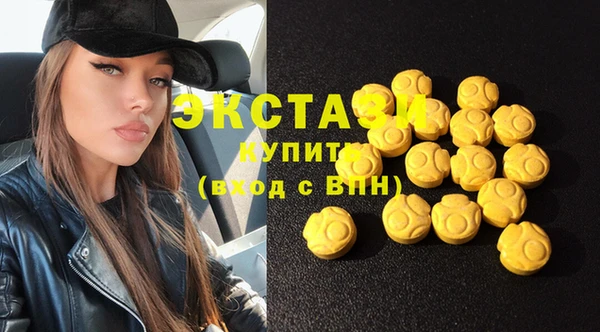 стаф Аркадак