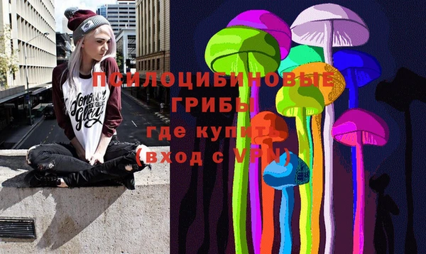 стаф Аркадак